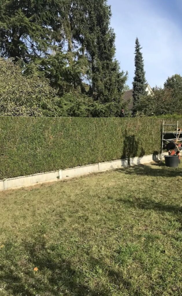 Bienvenue sur M.Letellier image0000001 (1)