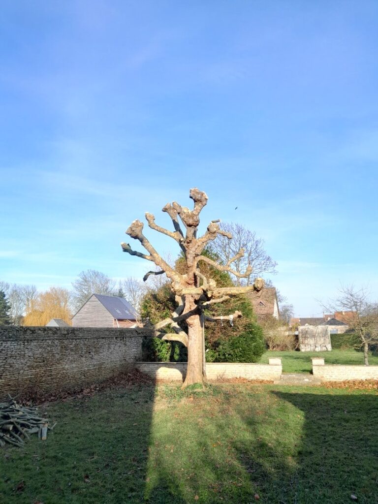 Bienvenue sur M.Letellier image0000001