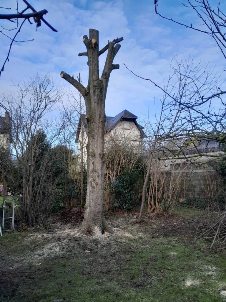 Bienvenue sur M.Letellier image0000011