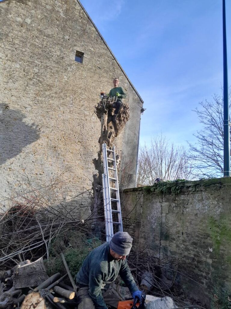 Bienvenue sur M.Letellier image0000021